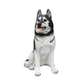 Siberian Husky Life-Size Resin Statue Sculpture Hand-painted Durable Fiberglass Material Indoor Outdoor Art Collectible Animal