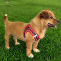 Advanced Waterproof Dog Safety Vest with Customized Graphics Easy-to-Clean Handler Harness for Dogs