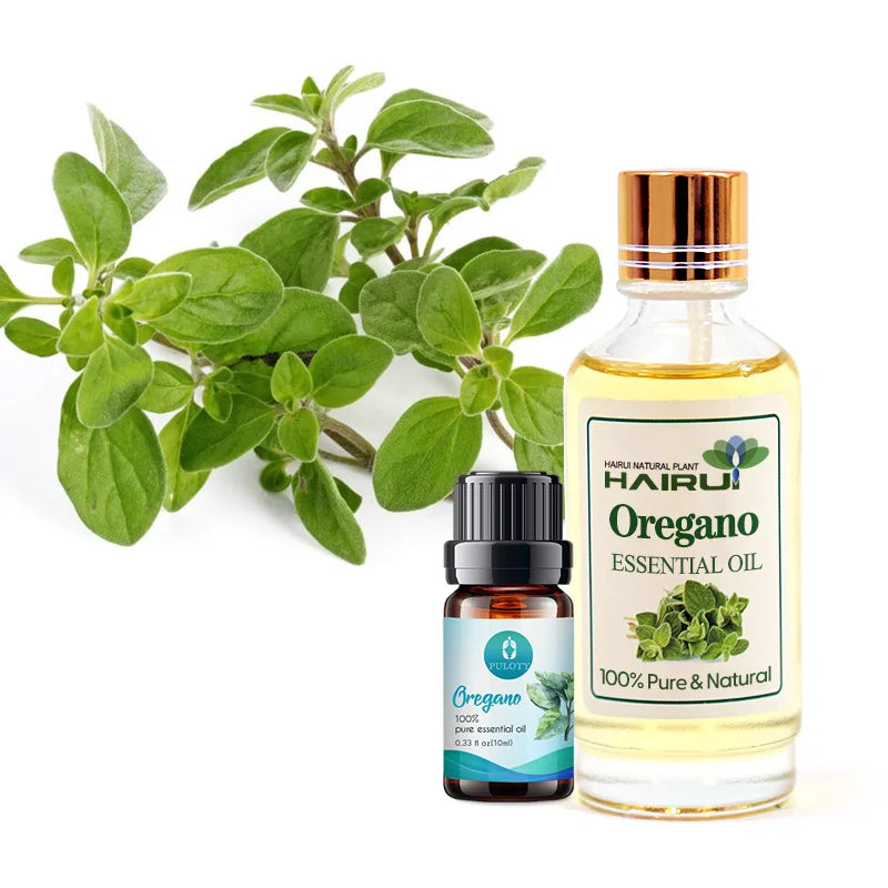 Bulk Private Label 100% Natural Essential Oil Organic Natural Oregano Oil
