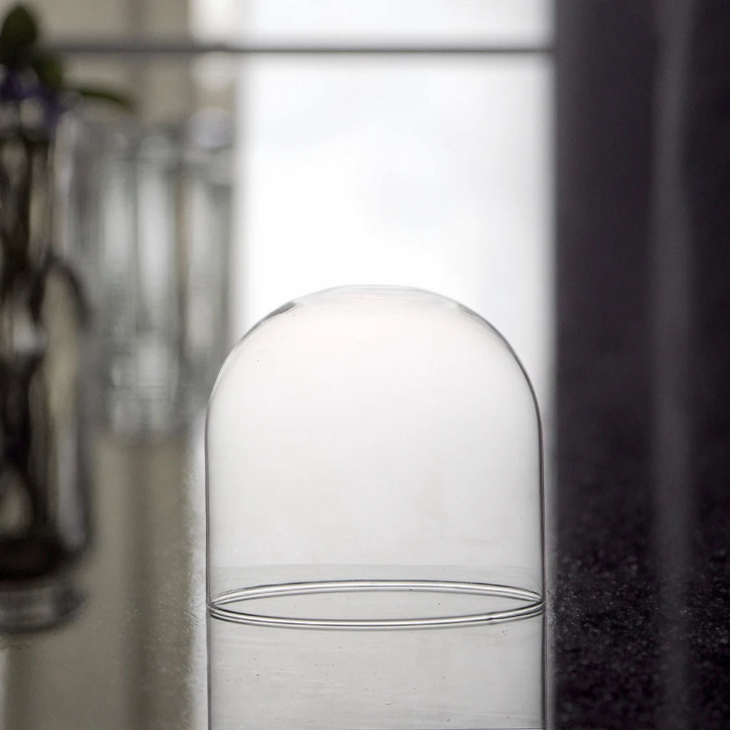 Dome Cloche Round Food Cover for Wedding Gifts Home Decoration Custom-made Wholesale Blown Glass for Christmas China Model HY