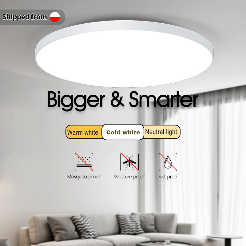 LED Trimless Disk Light Flush Mount Ceiling Light Fixture with APP Remote Dimmable Low Profile Bedroom Lighting Rated European