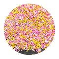 20g/Lot Summer Series Polymer Clay Slice Sweet Ice Cream Popsicle Candy Sprinkles for Nail Art Scrapbook Slime Fillers Supplier