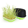 Factory Supply Durable Use Seedling Starter Basin With Lid  Hydroponic Microgreens Grow Tray With Lid  on Sale