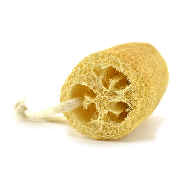 Kitchen Cleaning Loofah Sponges Natural Vegetable Sponge