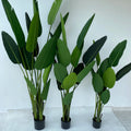 Traveler Banana Plant  Dekoration Plant  Artificial Tree