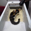Smart Self-Cleaning Cat Litter Box Automatic Odor Control Cat Toilet with App Control