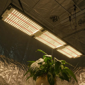 KingBrite 320W Led Samsung LM301H V4 Board 3000K/3500K With Deep Red 660nm Full Spectrum Led Plant Grow Lamp Light