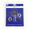 Airless Paint Sprayer 695 795 3900 Pump Repair Kit 248212