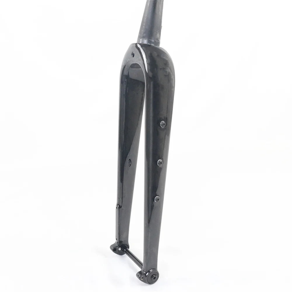 WINOWSPORTS FKG30 External Cable Carbon Gravel Bike Fork  Disc Brake Black Gloss Gravel Bicycle Forks with Thru Axle