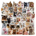 50PCS Cartoon Animals Pet Funny Emoticon Cute Kitty Meme Decals Naughty Cat Sticker