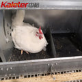 Chicken Bedding Eggs Nest Box Mat Pad Poultry Farm Plastic Laying Hen Nesting Pads