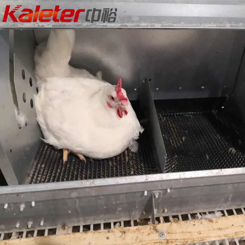 Chicken Bedding Eggs Nest Box Mat Pad Poultry Farm Plastic Laying Hen Nesting Pads