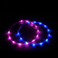 LED Cat and Dog Collar with Night Safety Flashing Glow Luminous Fluorescent Pet Leash Dogs' Supplies with Lights
