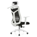 Modern Design Executive Office Chair with Aluminum Frame Swivel Manual Adjustment Headrest Armrest Height