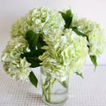 AF12902 Wedding Floral Artificial Big Heads Real Touch Latex White Green Hydrangea Flowers for Home Party Decoration