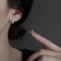 Hot Sale S925 Sterling Silver Circle Zircon Women Earrings for Female