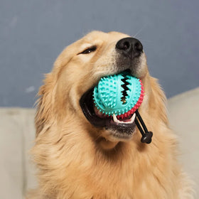 Eco-Friendly TPR Cat Chew Toys Vocal Food Leakage Ball Dog Pet Toys