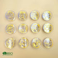 YIYI Chinese Style Twelve Zodiac Transparent Acetate Hair Claws Sweet Round Girls Hair Clip Customization