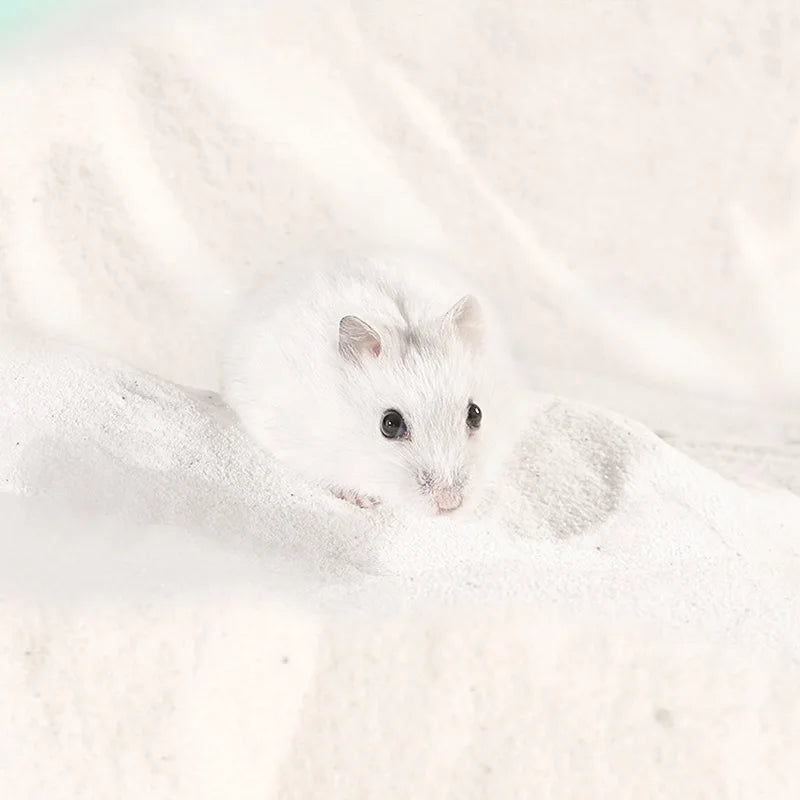 Hamster Bath Sand Wholesale 500g-1kg Totoro Gold Silk Bear Bath Bath Sand Deodorization Cleaning
