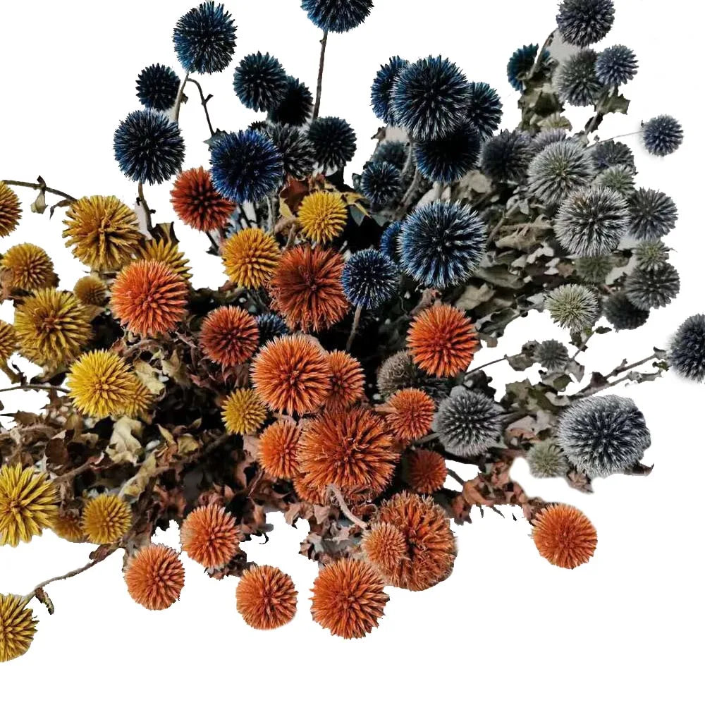 UKIQUEEN Wholesale Hot Selling Blue Thistle Dried Flowers Tinted Eryngium Dry Preserved Flowers Echinops