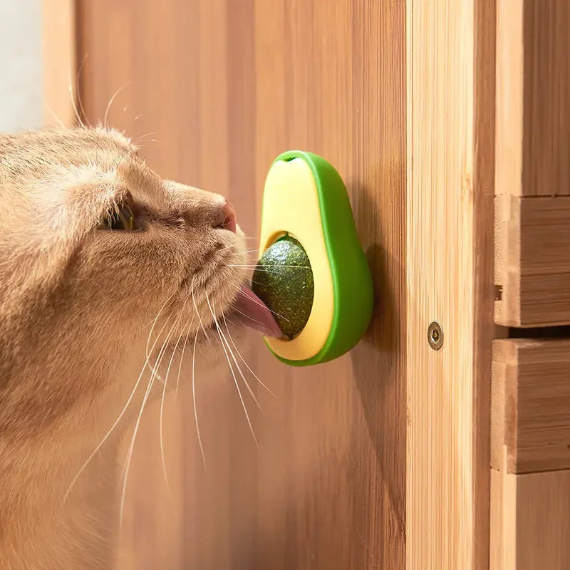 Avocado Catnip Ball Cat Toys Ball Licking Coccidia Funny Rotatable Catnip Avocado Toy