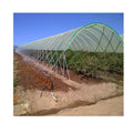 GT Blueberry Green House Low Cost Polytunnel Greenhouse for Plants