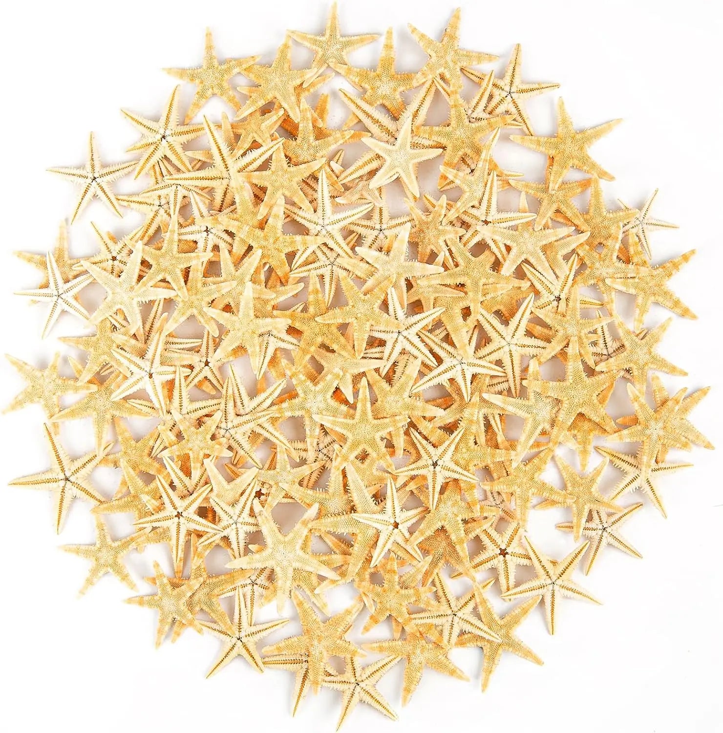 200pcs 0.4"-1" Natural Small Starfish for DIY Crafts Wedding Beach Decor