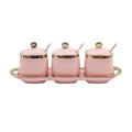European Luxury White Gold Edge Ceramic Sugar Bowl Salt Cans Shaker Seasoning Jar Bottle Lid Spoon Four-piece Household Set