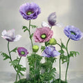 Road Leading Flower Decorations Flower Head Big Huge Large Handmade Giant Foam Flowers for Wedding Window Decor