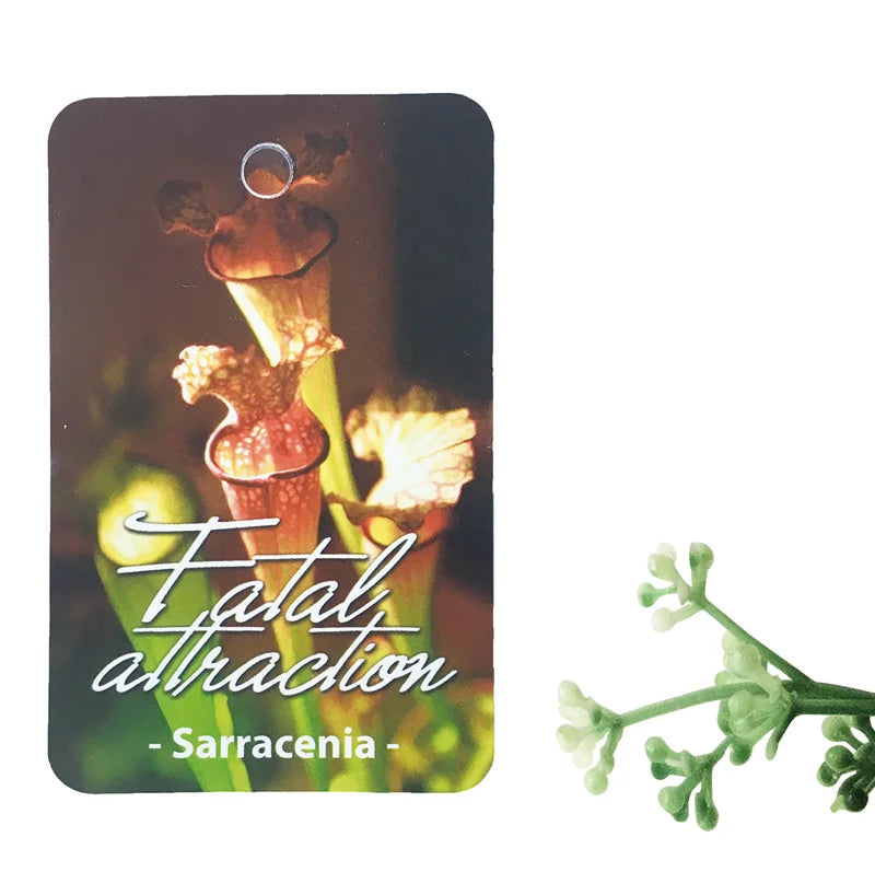 Printed Garden Tag Greenhouse Garden Nursery