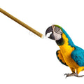 GSF G1235-3 Long Tube Rubber Feeder 100ml Pet Drinker Pigeon Water Drinker for Bird Parrot Pet Rubber Pigeon Bird Feeder