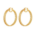 Wholesale Luxury Female Tassel Earrings High-End Stainless Steel Trendy Versatile Temperament Long Tassel Accessories for