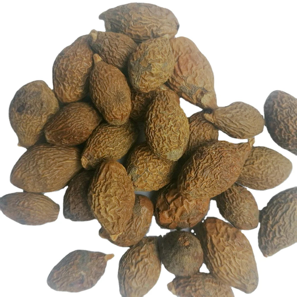 Pang Da Hai Raw Dried Whole Boat-fruited Sterculia Seed Fruit for Herb