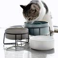 Extra Wide Raised Eco-Friendly Ceramic Dog & Cat Food and Water Bowl with Iron Frame Stand