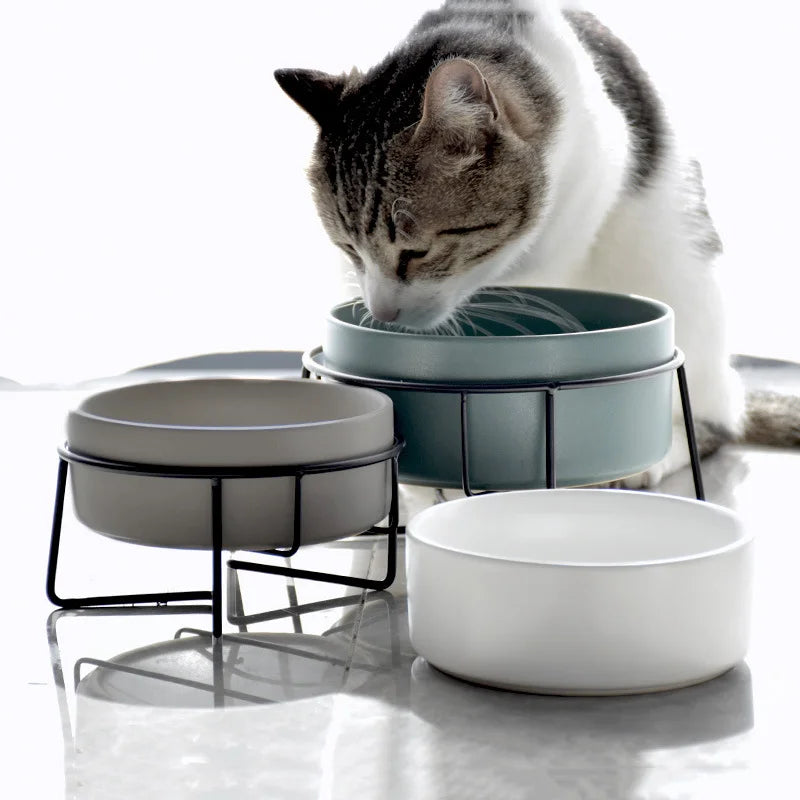 Extra Wide Raised Eco-Friendly Ceramic Dog & Cat Food and Water Bowl with Iron Frame Stand
