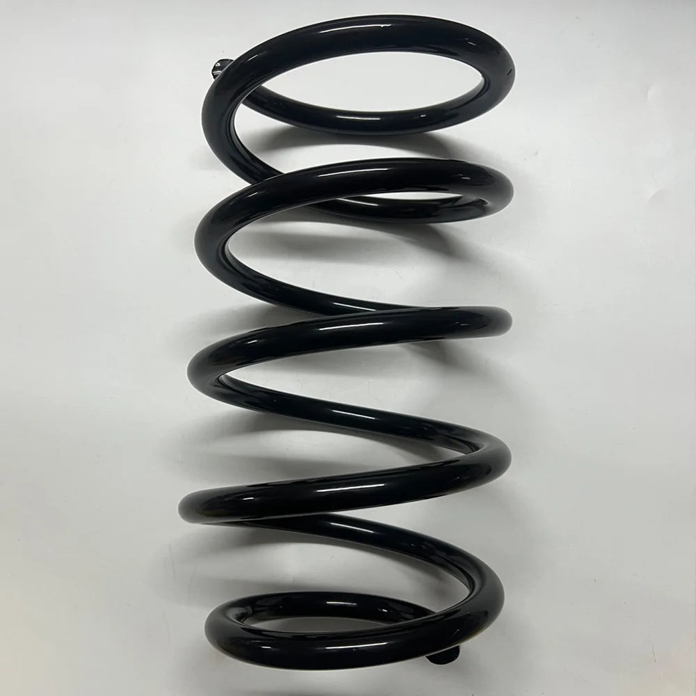 Professional Spring Manufacturer Produce All Types Compression Hardware Spring