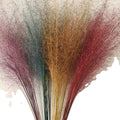 Hot Selling Everlasting Flowers Muhlenbergia & Muhly Grass for Wedding Decoration