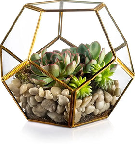 Hot Sale Geometric Glass Terrarium Football-Shaped Candle Holder with Air Plant Features succulent Votive Decor for Garden