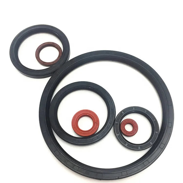 Nbr Buna Fkm Silicone Hnbr Epdm Tc Sc Oil Seal 40x80x12