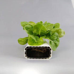 Nft Hydroponics PVC Channel for Hydroponic Growing System Greenhouse