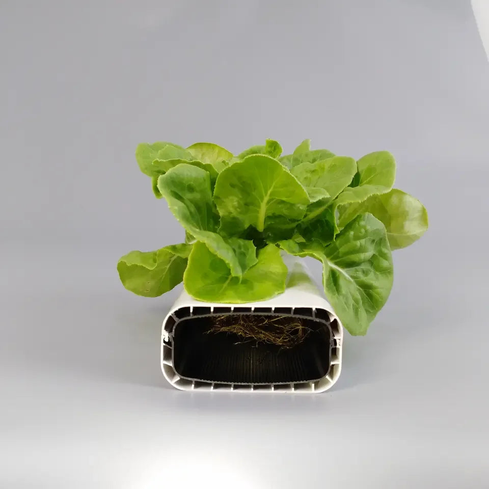 Nft Hydroponics PVC Channel for Hydroponic Growing System Greenhouse