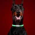 Dog Accessories Pet Flashing Light up Dog Collar USB Rechargeable Night Safety Luminous Glowing up Led Dog Collar