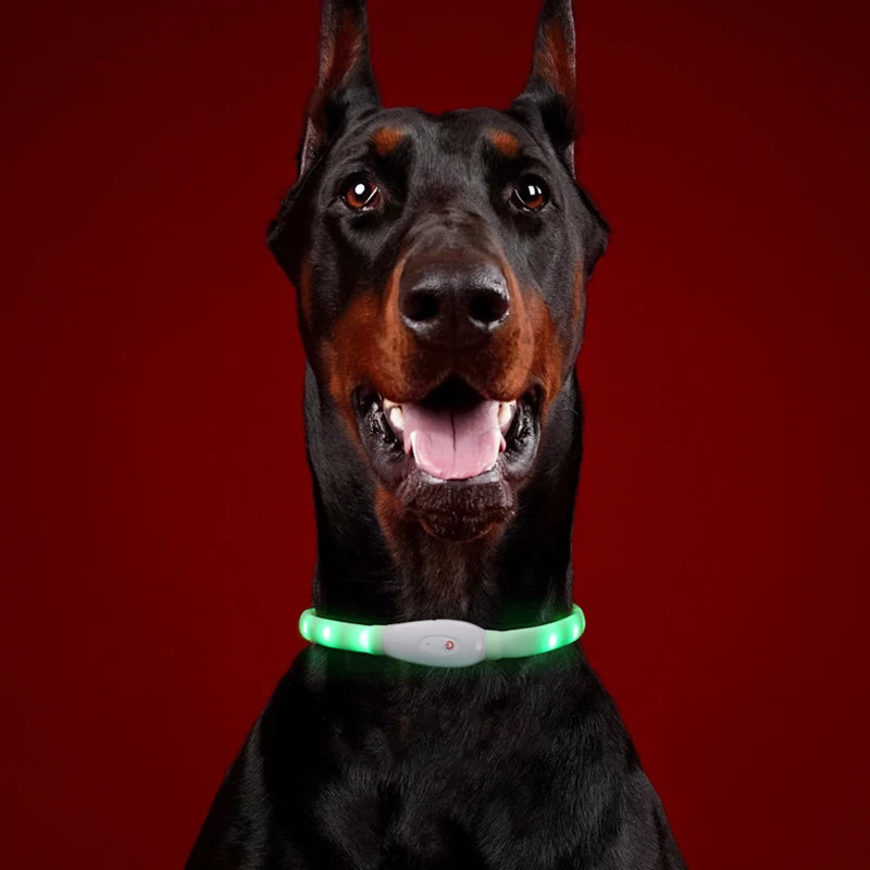 Dog Accessories Pet Flashing Light up Dog Collar USB Rechargeable Night Safety Luminous Glowing up Led Dog Collar