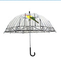 Birdcage Umbrella Transparent Umbrella clear Umbrella