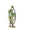 AILICHEN Factory Direct Home Living Room New Oval Flower Stand Multi-Layer Rack Cartoon Design Garden Flower Pot Kit for Floor