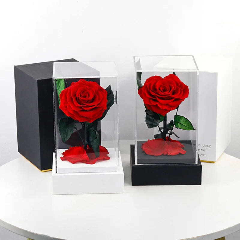 2021 New Arrival Etrernal Roses Bouquets Real Preserved Roses in Acrylic Flower Boxes