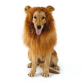 Factory Price Dog Costume Cute Pet Cosplay Clothes Transfiguration Lion Mane Winter Warm Wig Cat Party Decoration Apparel