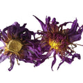 100g/bag Wholesale Raw Natural Blue Lotus Dried Flowers Cheap Price New Collected Whole Blue Lotus Flowers for Tea