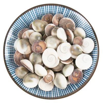 Chinese Herb Natural Clean Turbo Cornutus Operculum Turbo Nail Shell for Sale