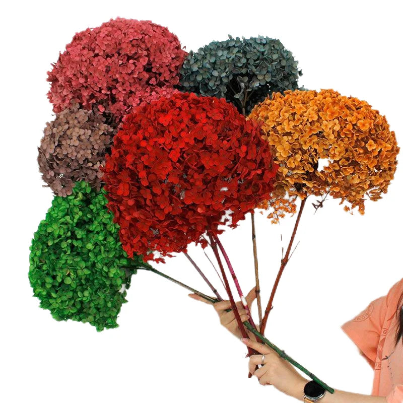 Factory Sale Handmade Real Touch Stabilized Dark Green Hydrangea Flowers Preserved for Home Decor Long Lasting 3-5 Years